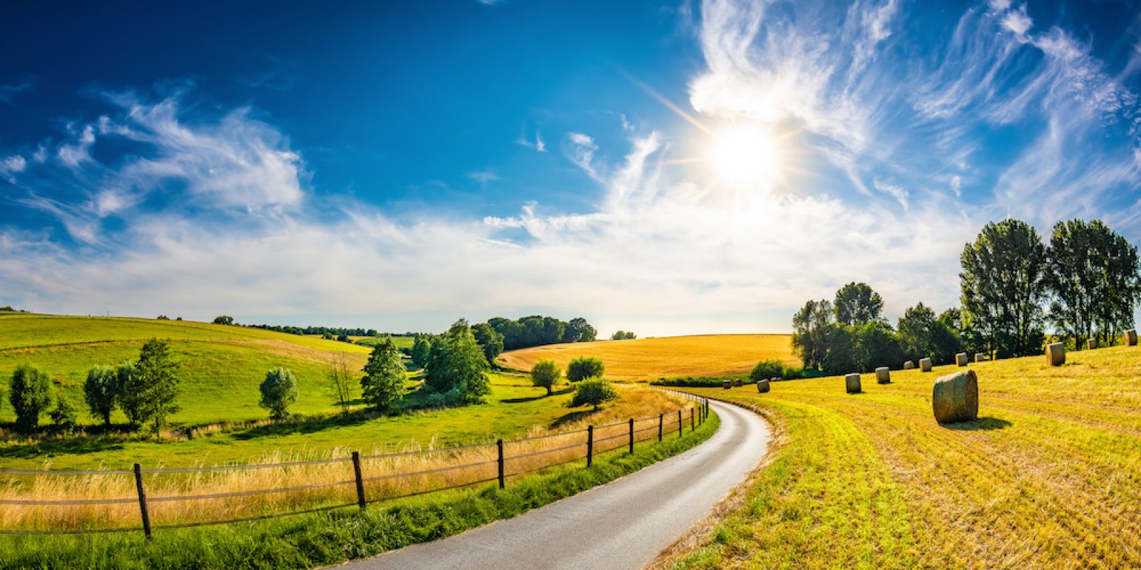 Landscape in summer with bright sun, meadows and golden cornfield in the background