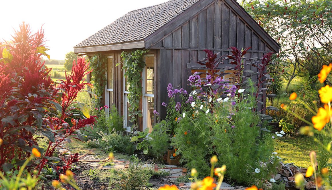 Little Rustic Cottage Like Garden Shed Surrounded By Colorful Summer Flowers