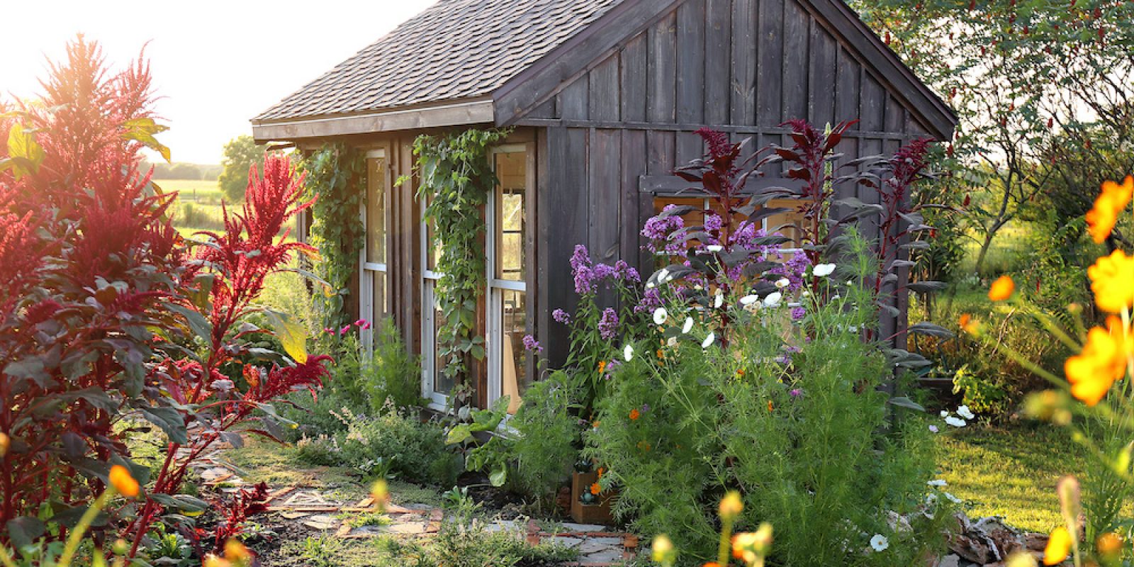 Little Rustic Cottage Like Garden Shed Surrounded By Colorful Summer Flowers