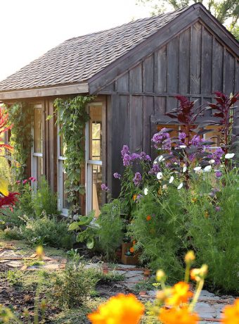 Little Rustic Cottage Like Garden Shed Surrounded By Colorful Summer Flowers