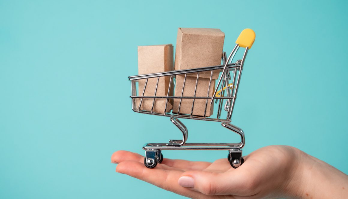 Toy shopping cart in female hand