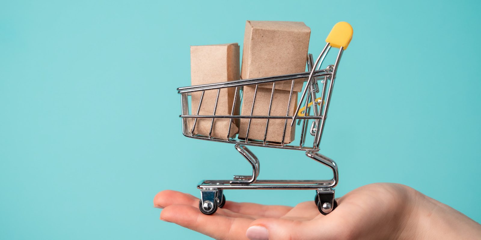 Toy shopping cart in female hand