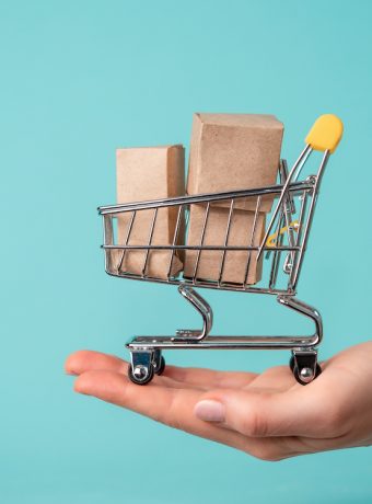 Toy shopping cart in female hand