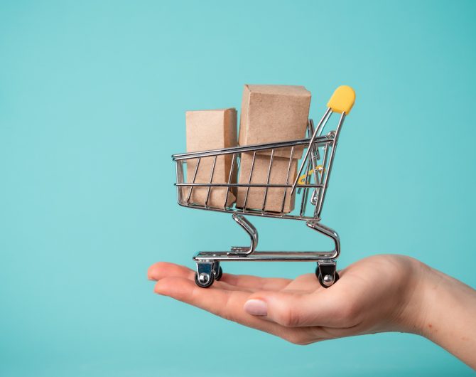 Toy shopping cart in female hand